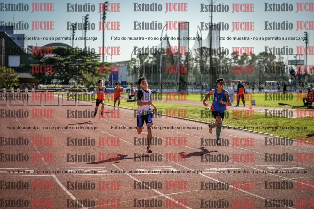 Fotos de los 295 m con vallas de varones