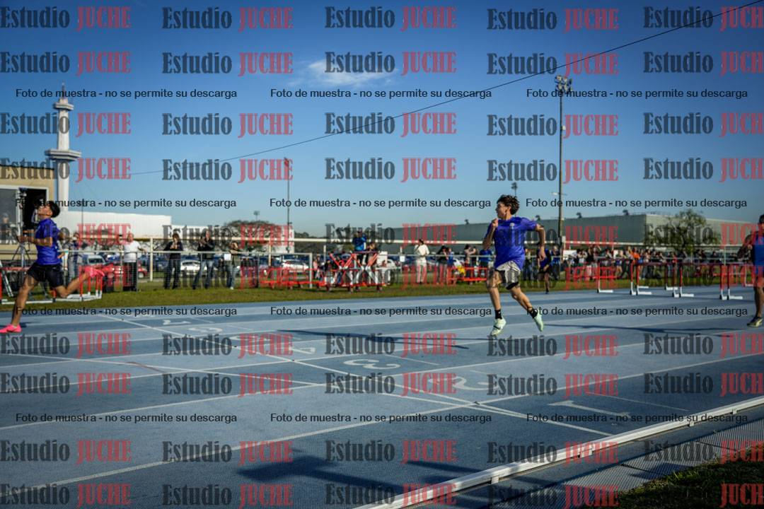 Fotos de los 110 m con vallas de mujeres