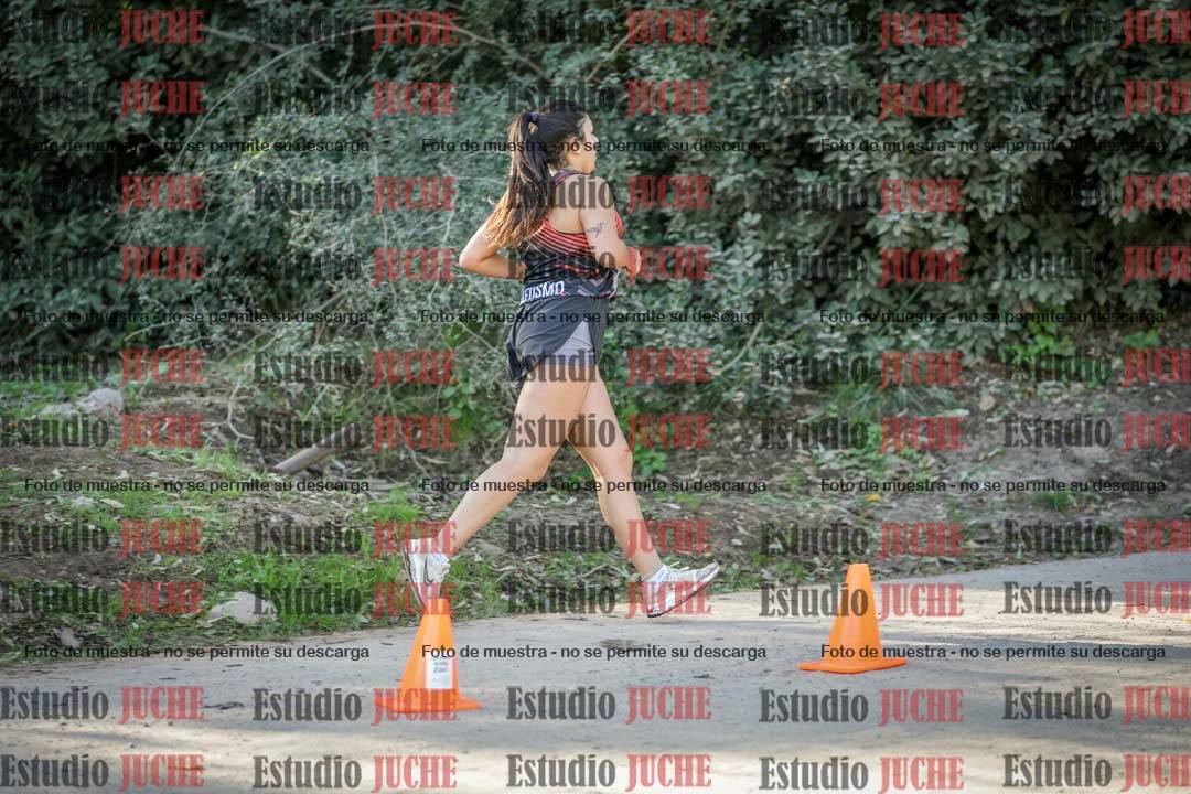 Fotos en el quito punto del circuito