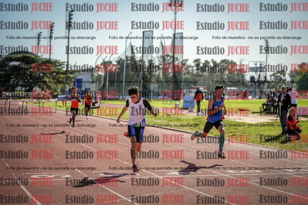 Fotos de los 295 m con vallas de varones
