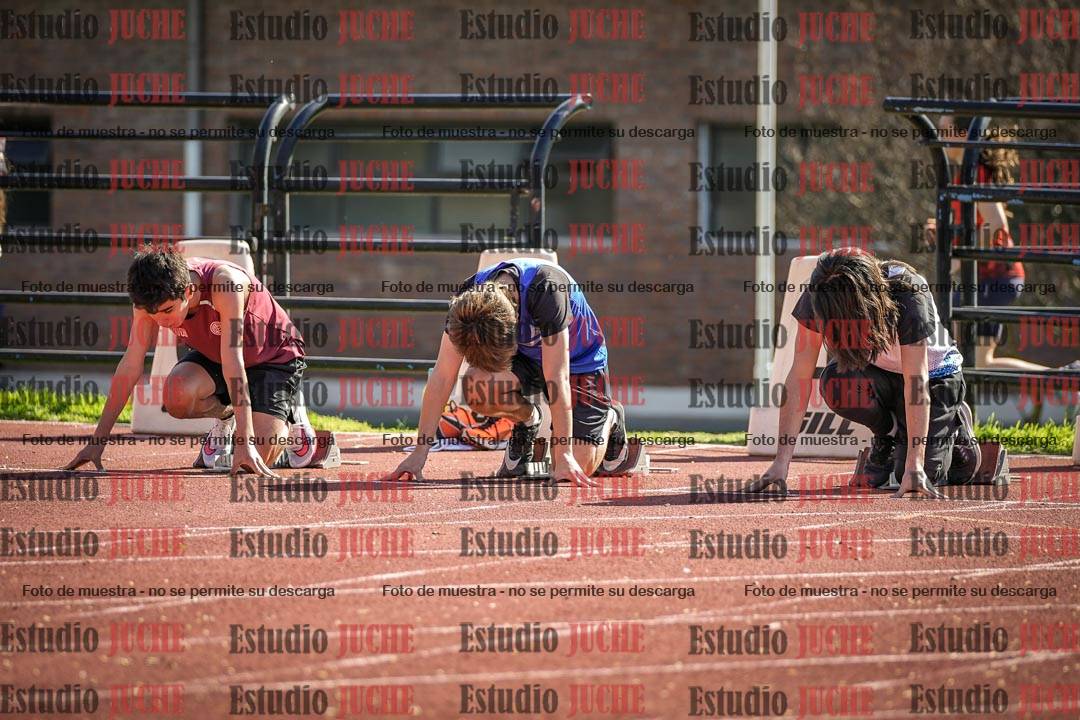 Fotos de los 110 m con vallas de varones