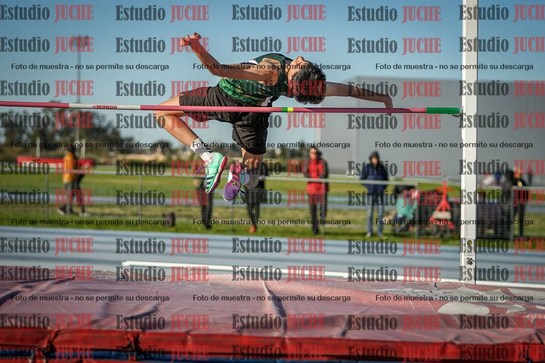 Fotos del salto en alto de varones