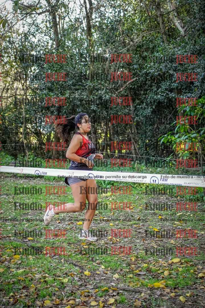Fotos en el cuarto punto del circuito