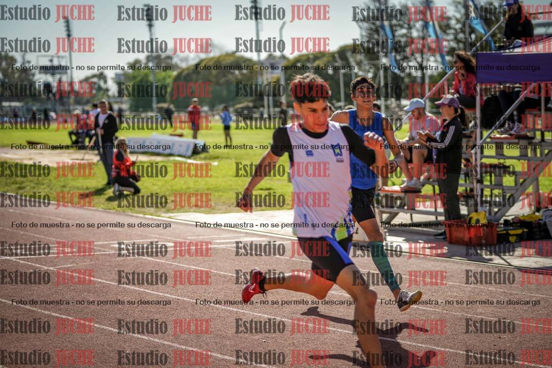 Fotos de los 295 m con vallas de varones
