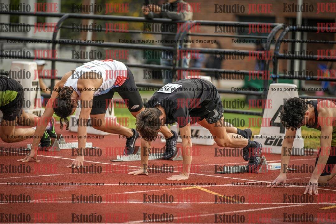 Fotos de los 110 m con vallas de varones