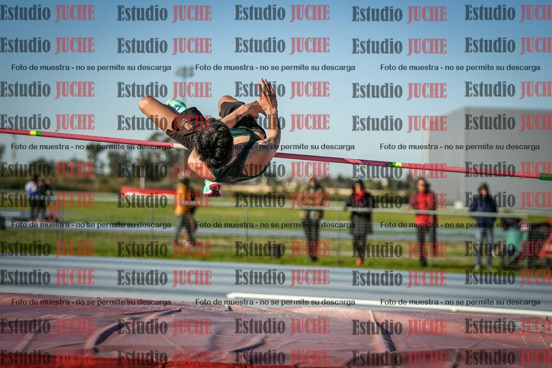 Fotos del salto en alto de varones