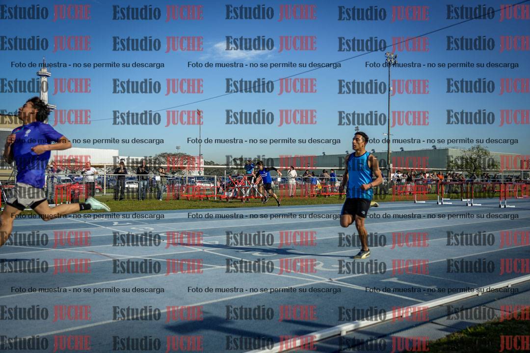Fotos de los 110 m con vallas de mujeres