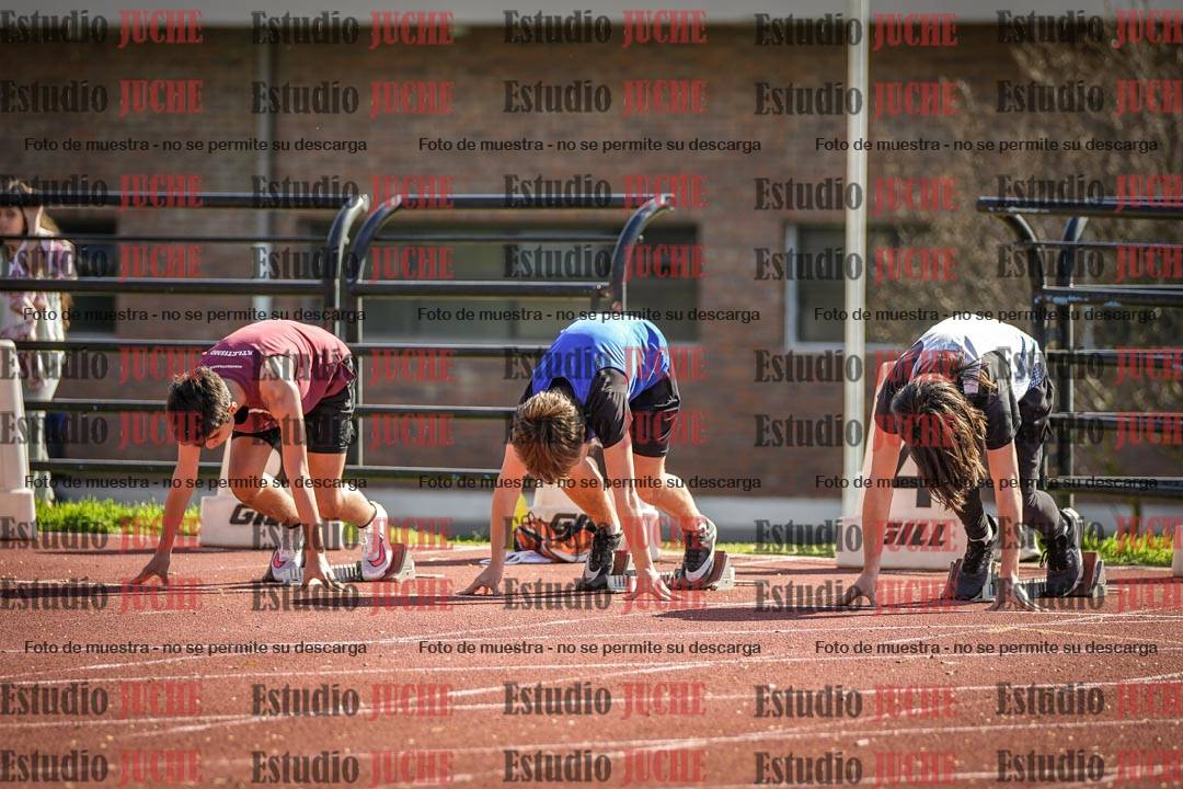 Fotos de los 110 m con vallas de varones