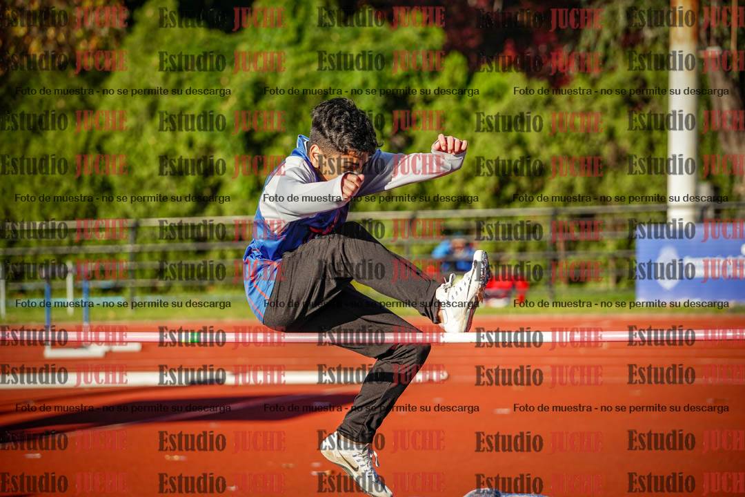 Fotos del salto en alto