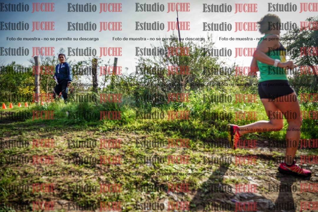 Fotos en el circuito