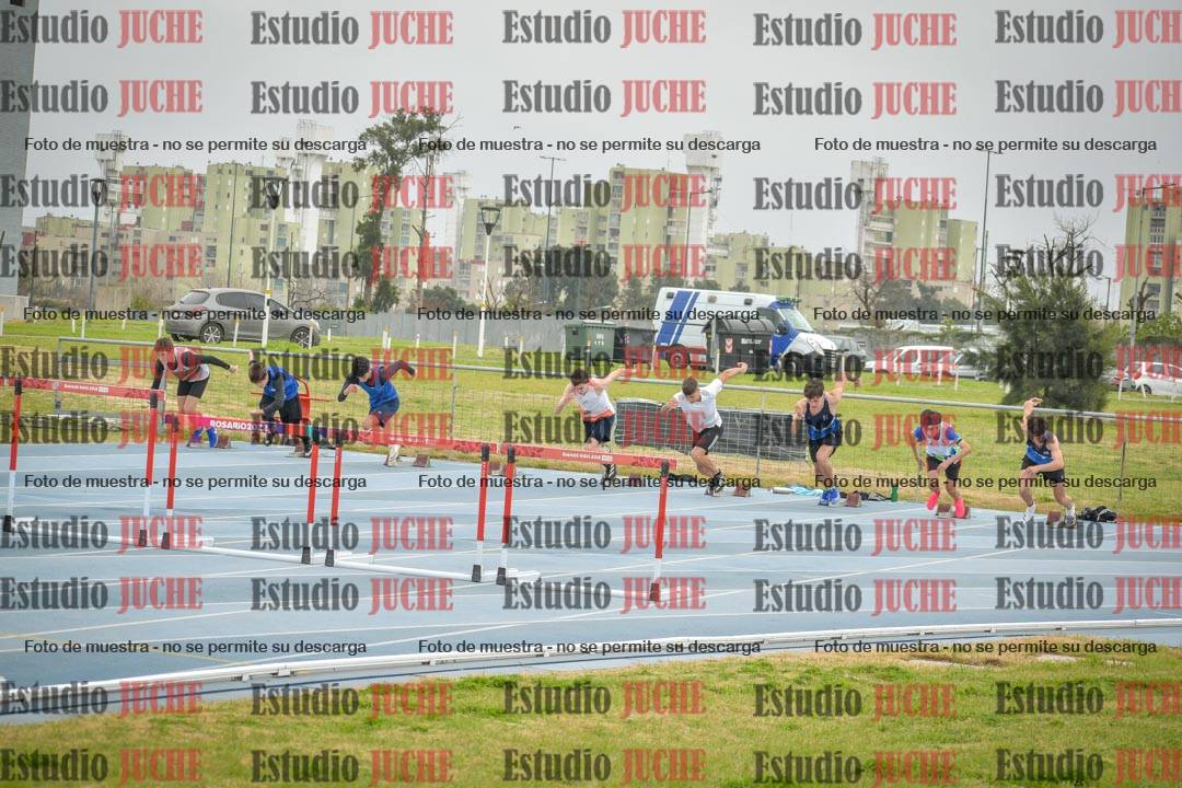 Fotos de los 110 m con vallas de varones