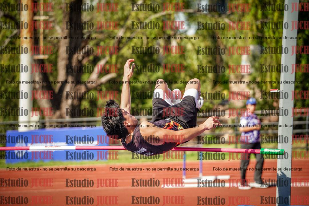 Fotos del salto en alto