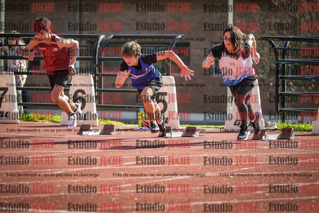 Fotos de los 110 m con vallas de varones