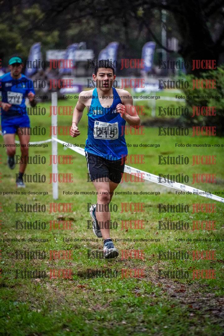 Fotos en el circuito