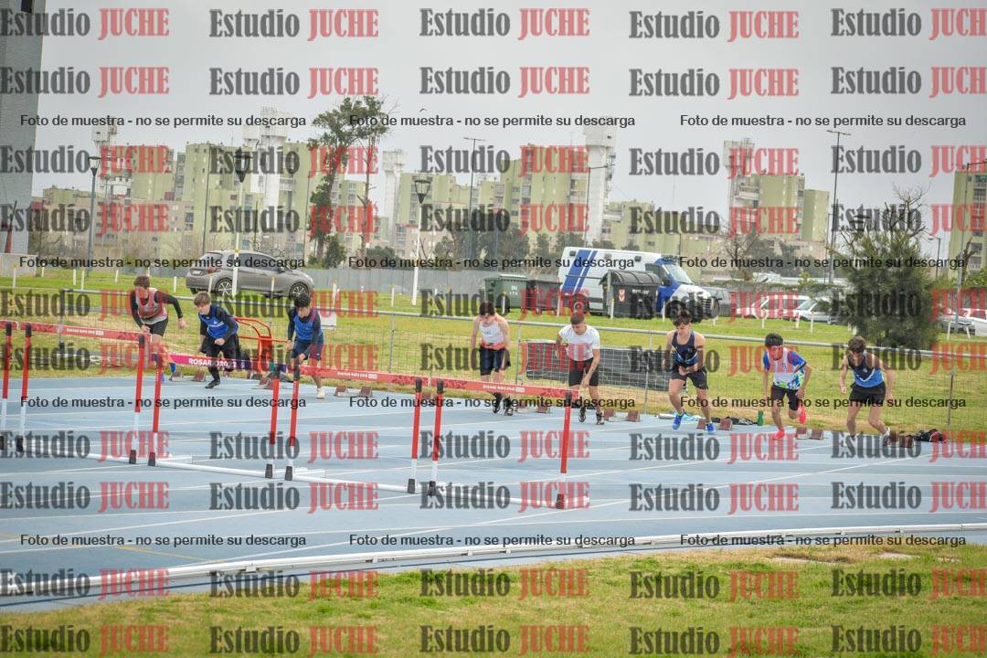 Fotos de los 110 m con vallas de varones