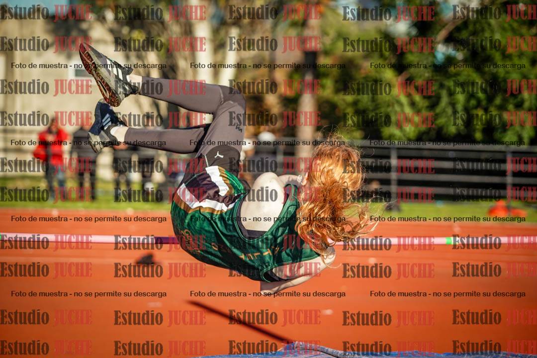 Fotos del salto en alto