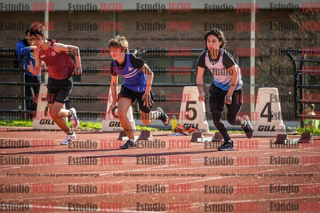 Fotos de los 110 m con vallas de varones