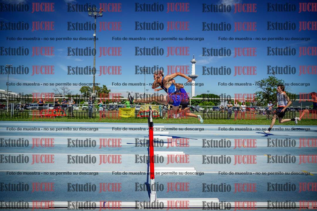 Fotos de los 110 m con vallas de varones