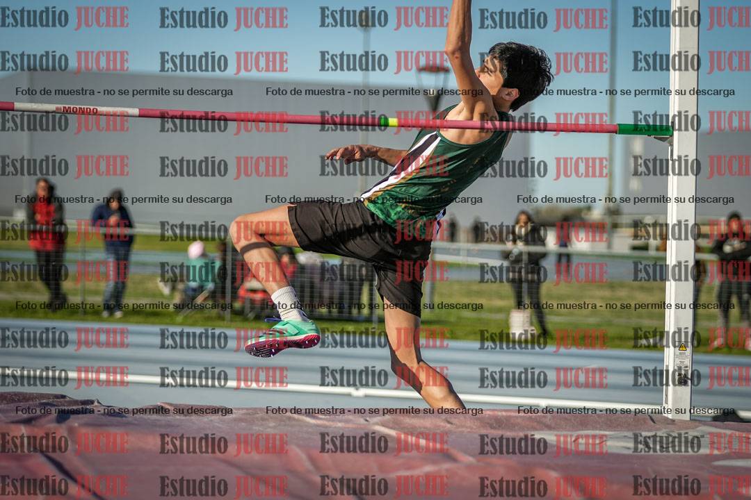 Fotos del salto en alto de varones