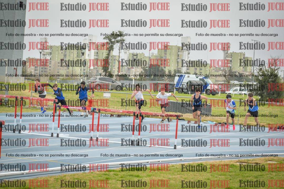 Fotos de los 110 m con vallas de varones