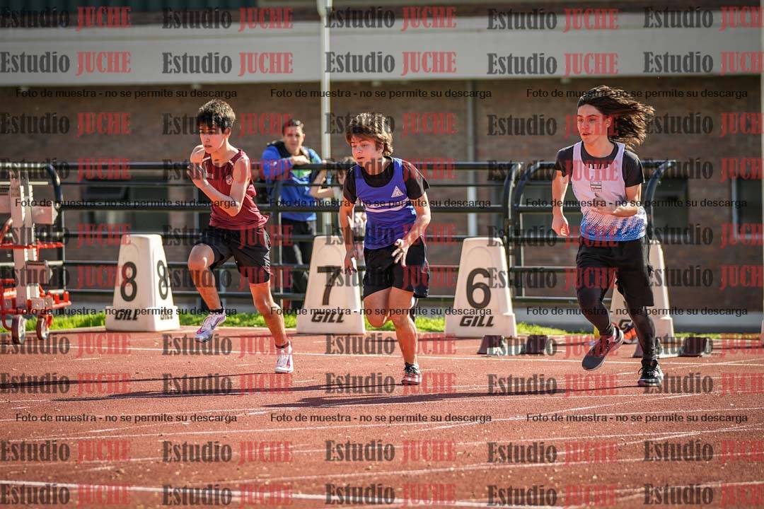 Fotos de los 110 m con vallas de varones