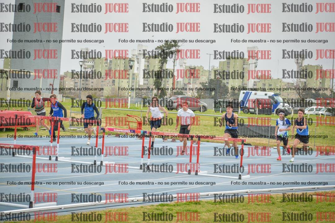 Fotos de los 110 m con vallas de varones