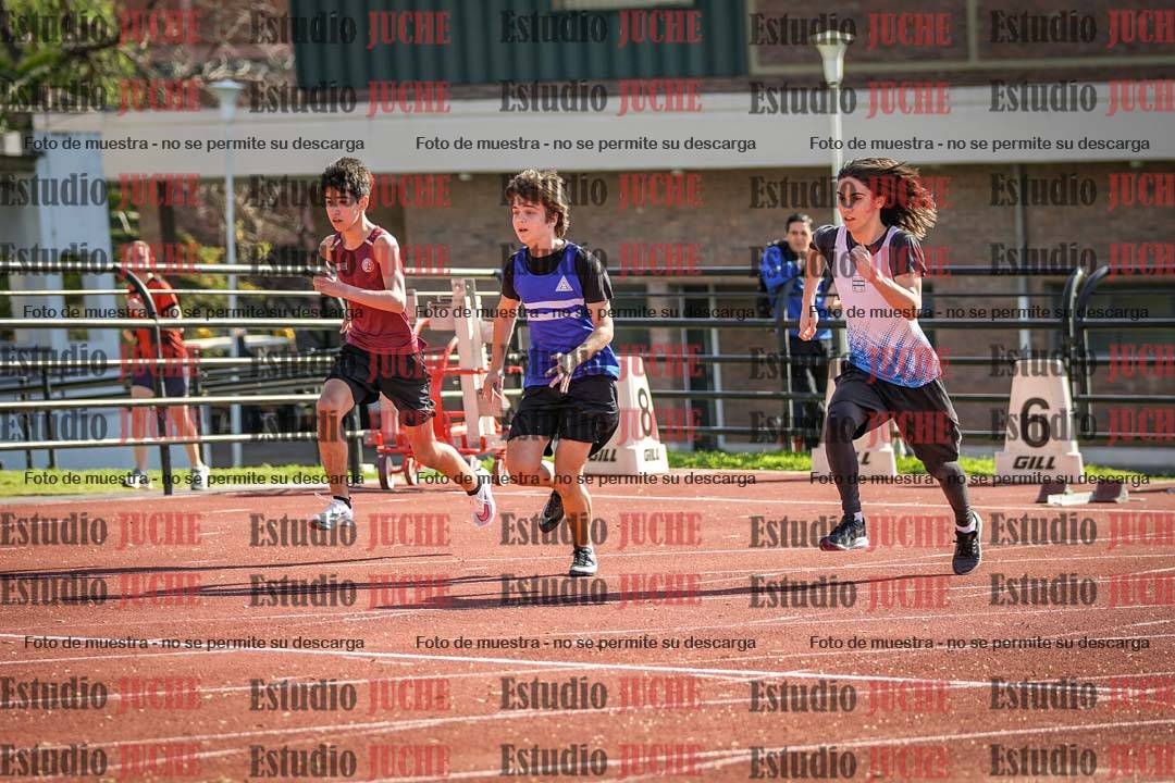 Fotos de los 110 m con vallas de varones