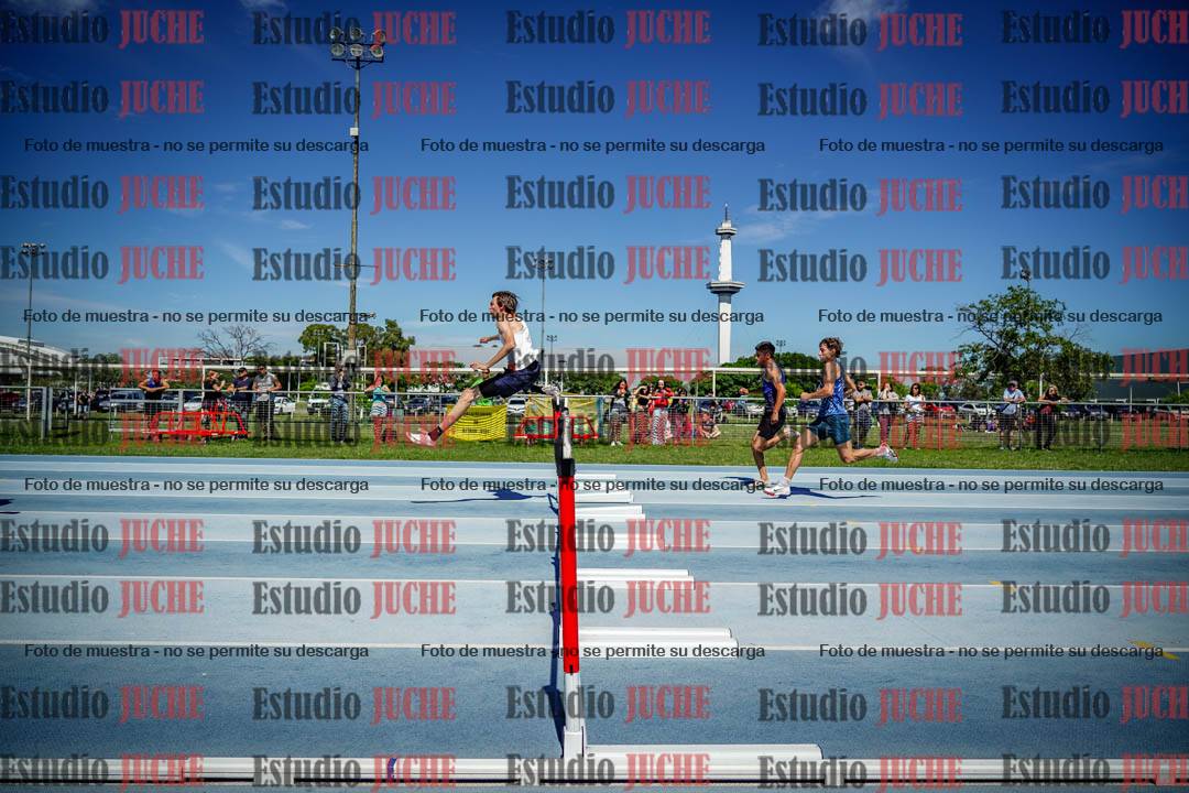 Fotos de los 110 m con vallas de varones