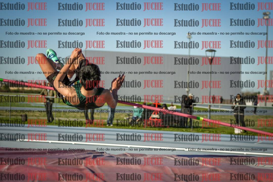 Fotos del salto en alto de varones