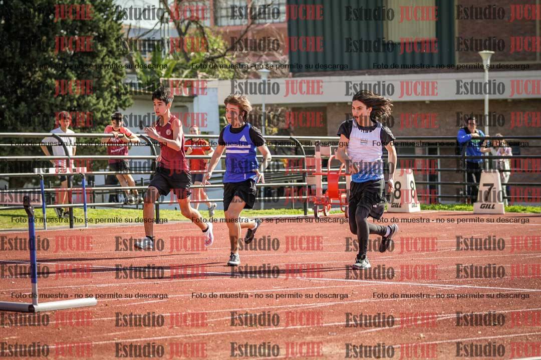 Fotos de los 110 m con vallas de varones
