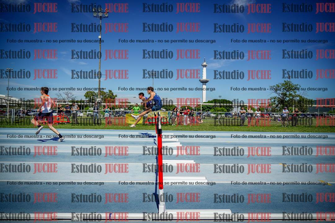 Fotos de los 110 m con vallas de varones