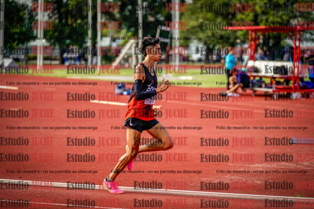 Fotos de los 5000 m llanos