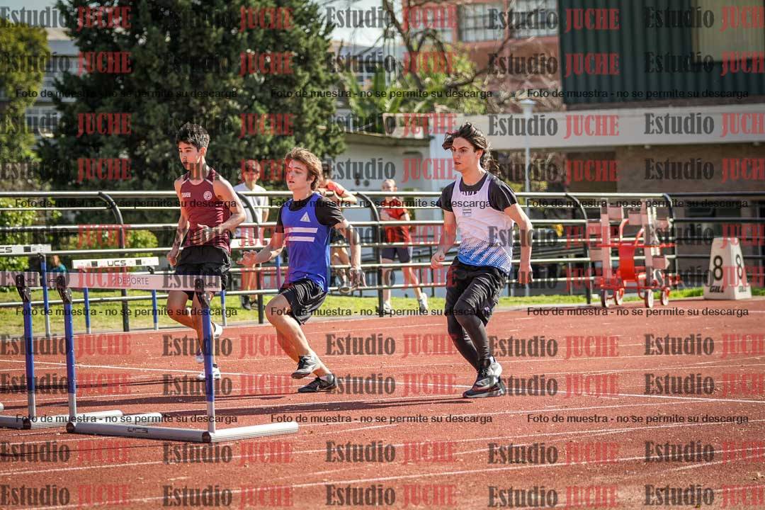 Fotos de los 110 m con vallas de varones