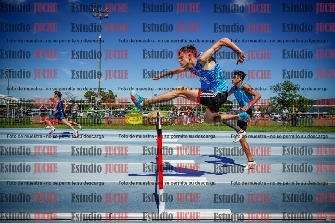 Fotos de los 110 m con vallas de varones