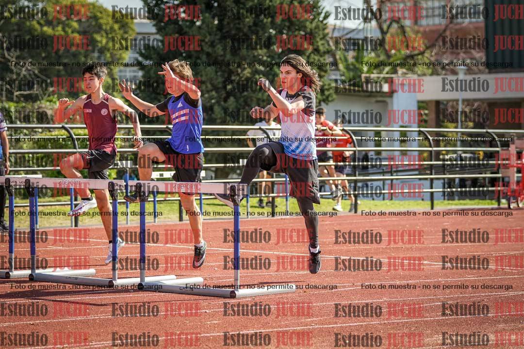Fotos de los 110 m con vallas de varones