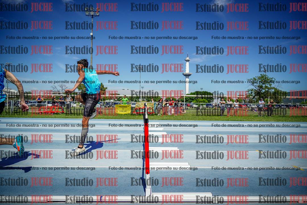 Fotos de los 110 m con vallas de varones