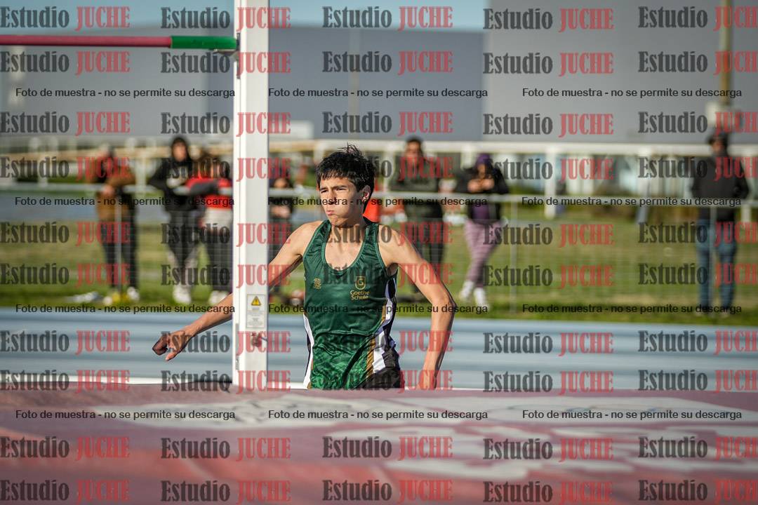 Fotos del salto en alto de varones