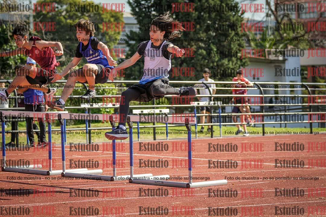 Fotos de los 110 m con vallas de varones