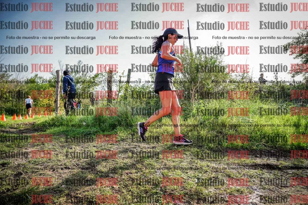Fotos en el circuito