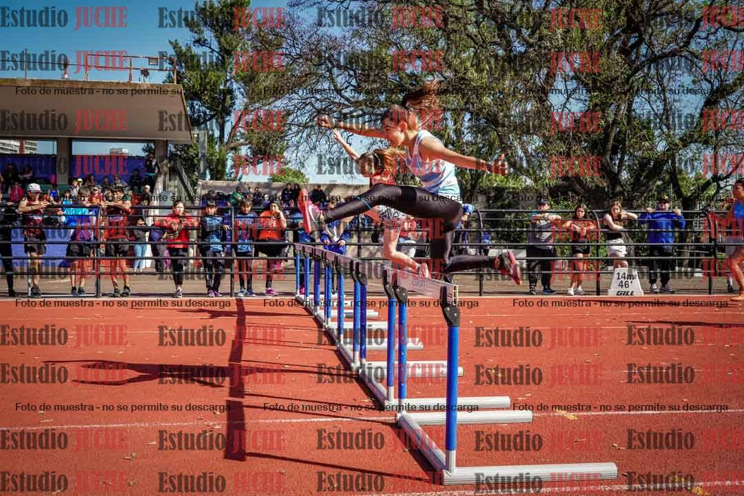 Fotos de los 80 m con vallas de mujeres - serie 2 (incluye hexatlón)
