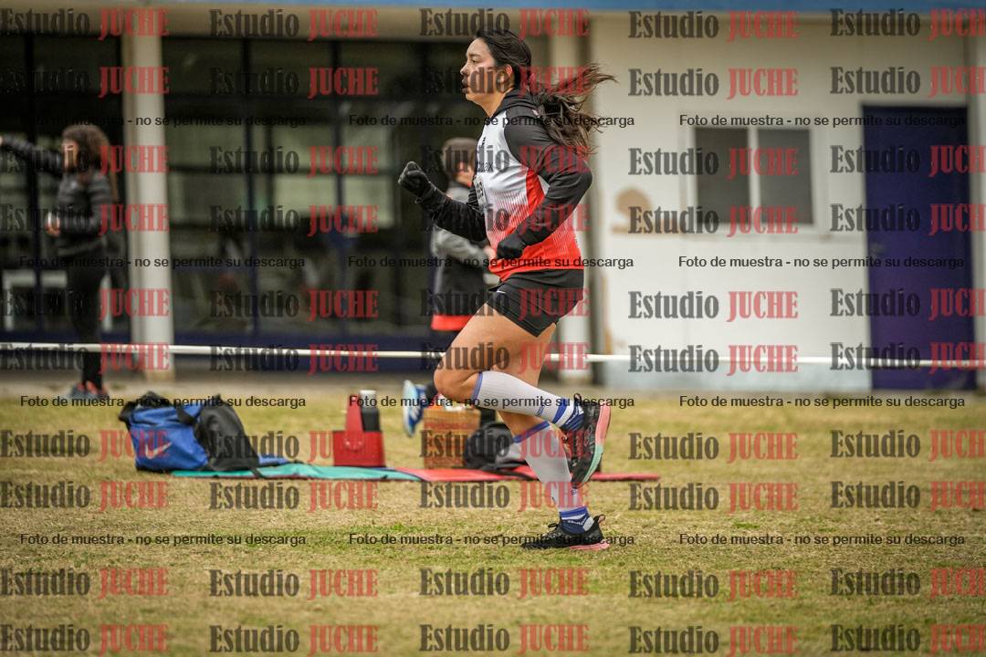 Fotos en el circuito