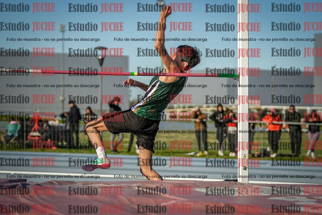 Fotos del salto en alto de varones