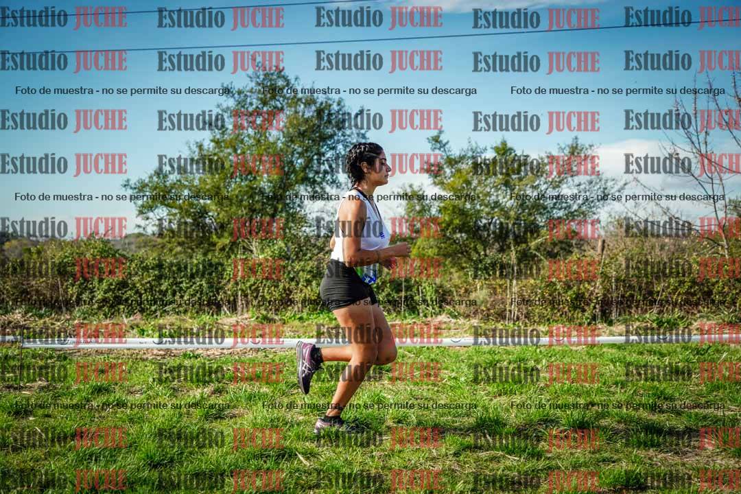Fotos en el circuito