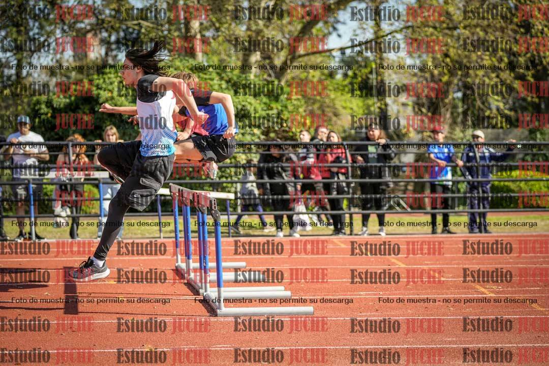 Fotos de los 110 m con vallas de varones