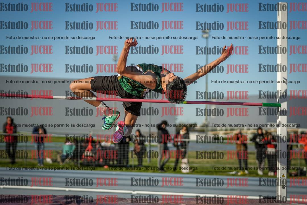 Fotos del salto en alto de varones