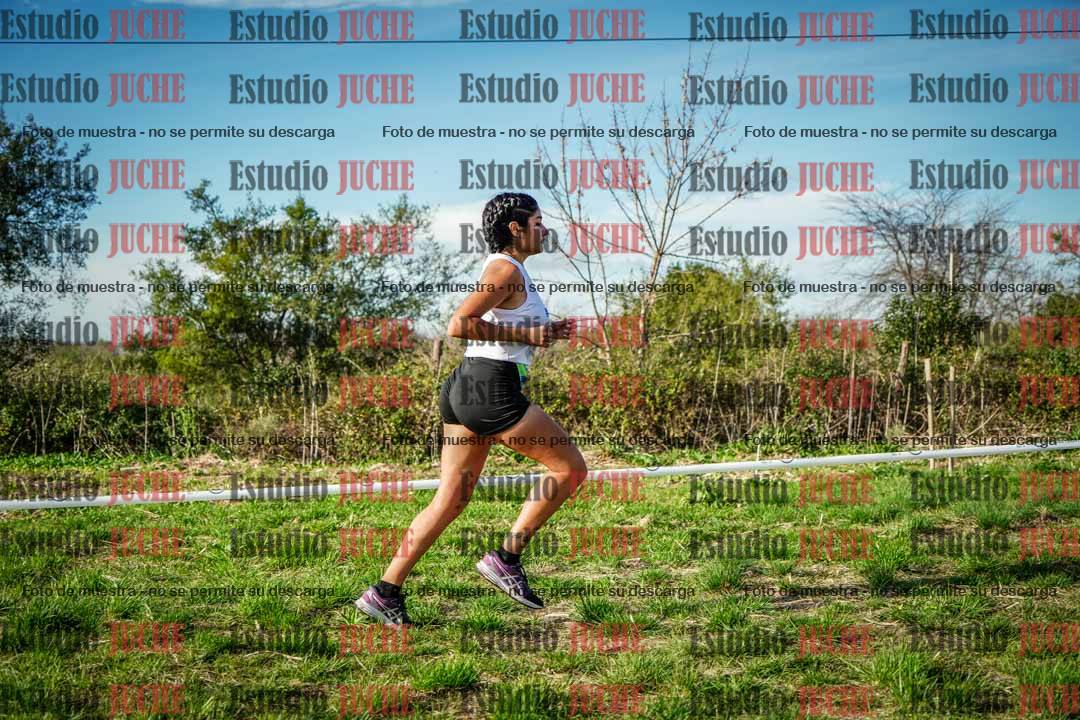 Fotos en el circuito