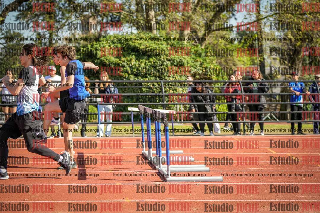 Fotos de los 110 m con vallas de varones