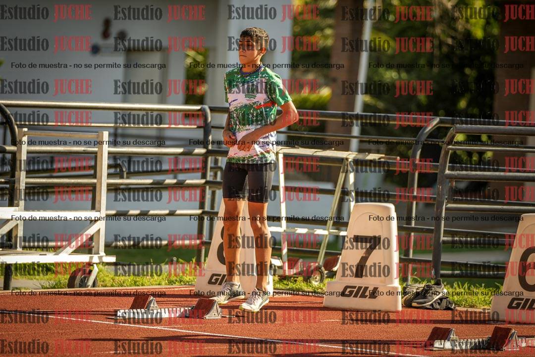Fotos de los 110 m con vallas de varones