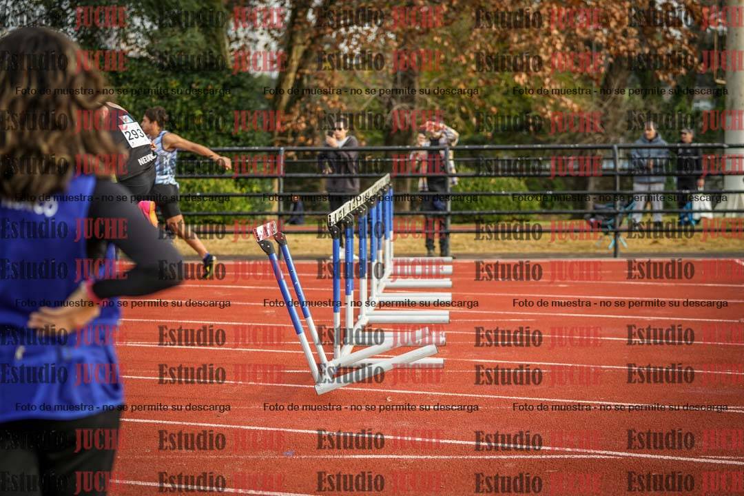 Fotos de los 110 m con vallas de varones