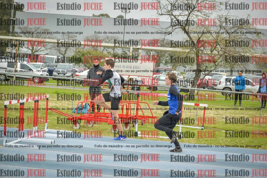 Fotos de los 110 m con vallas de varones